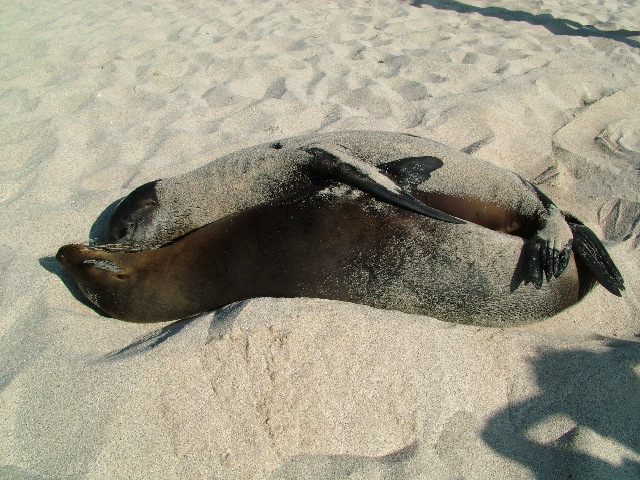 DSCF1187.JPG