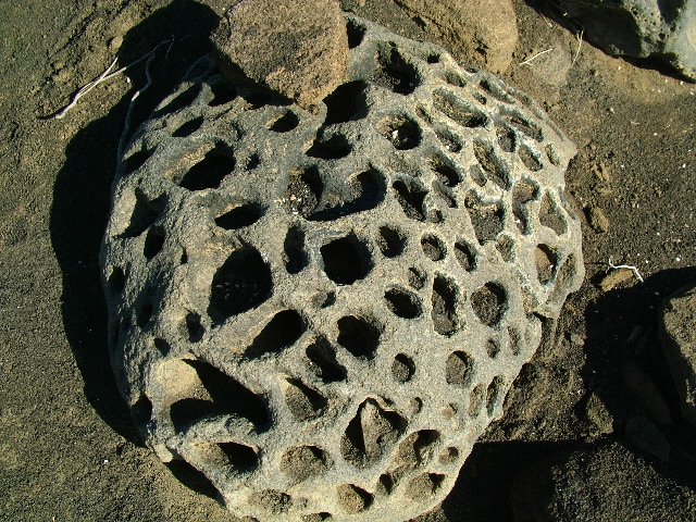 DSCF1522.JPG