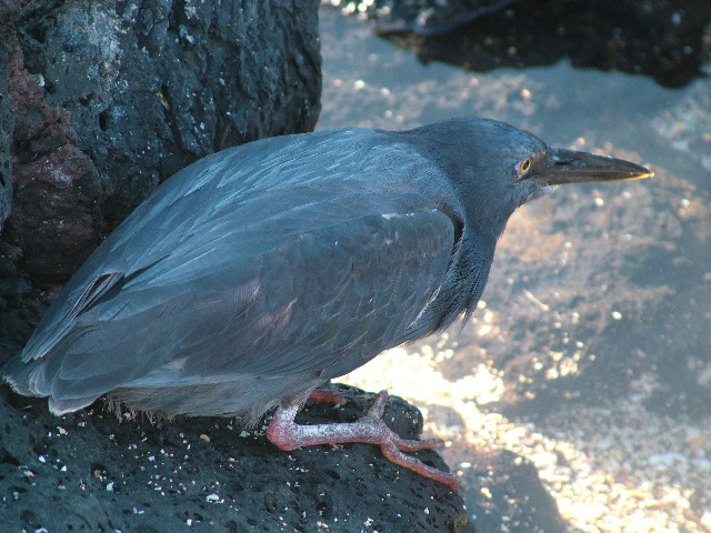 DSCF1525.JPG