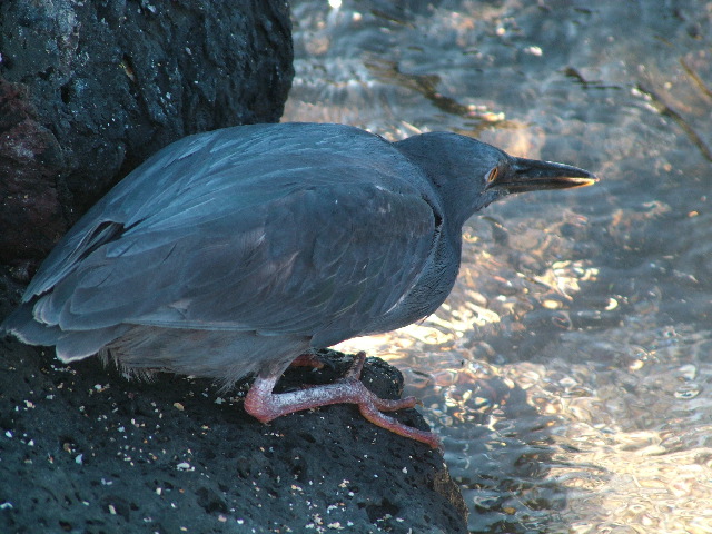 DSCF1526.JPG