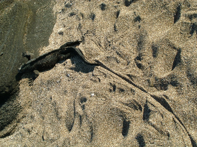 DSCF1528.JPG