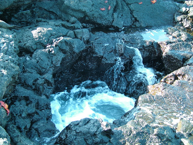 DSCF1530.JPG