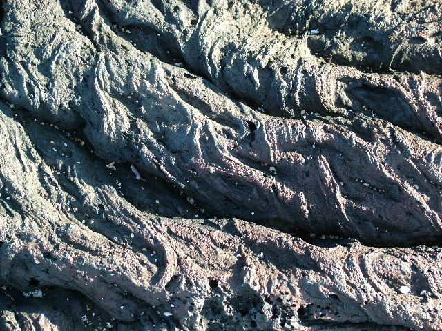 DSCF1531.JPG