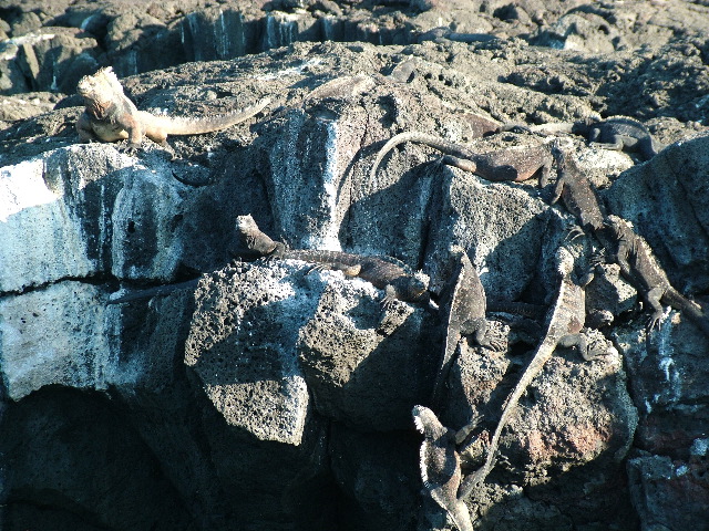 DSCF1536.JPG