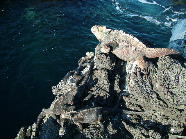 DSCF1541.JPG