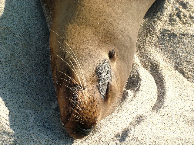 DSCF1188.JPG