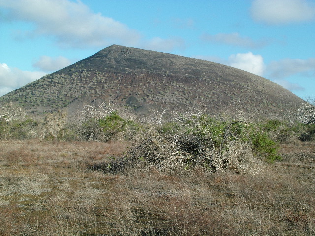 DSCF1545.JPG