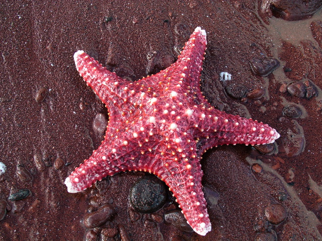 DSCF1548.JPG