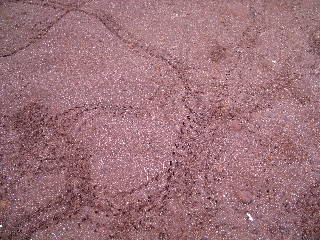 DSCF1549.JPG