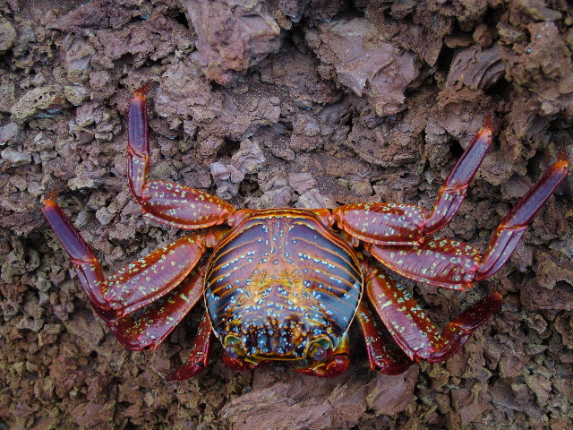 DSCF1550.JPG