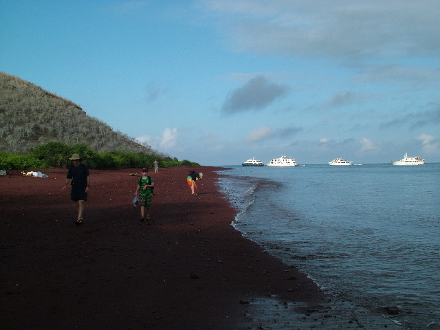 DSCF1552.JPG