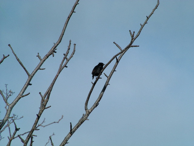 DSCF1555.JPG