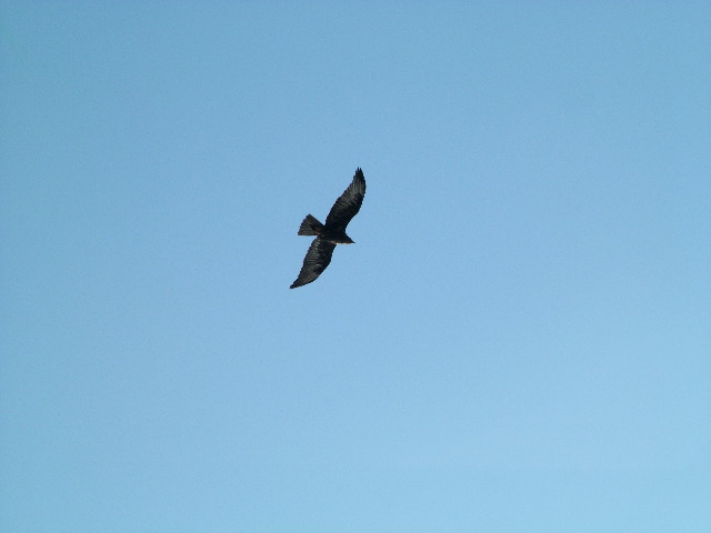 DSCF1558.JPG