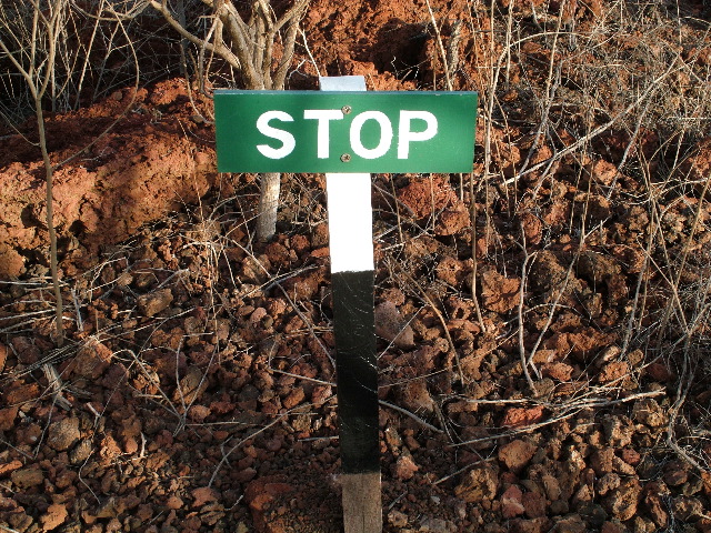 DSCF1559.JPG