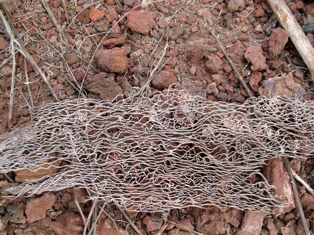DSCF1564.JPG