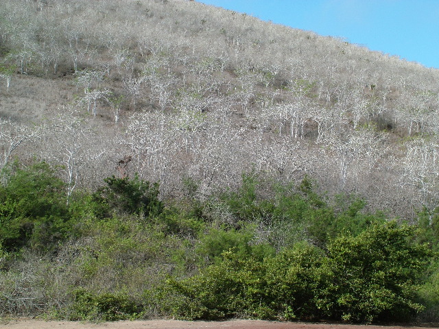 DSCF1567.JPG