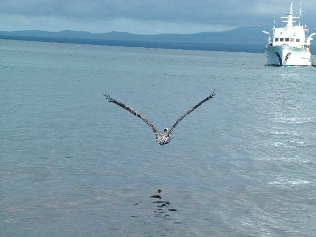 DSCF1571.JPG