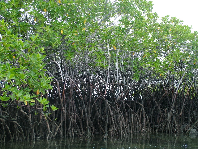 DSCF1586.JPG