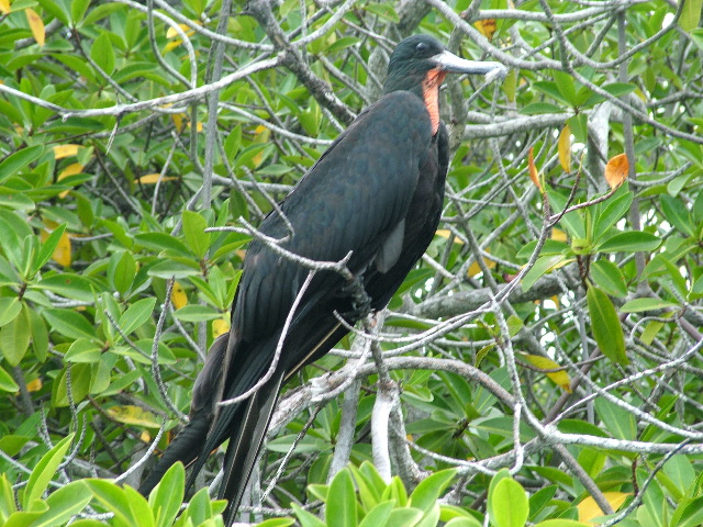DSCF1587.JPG