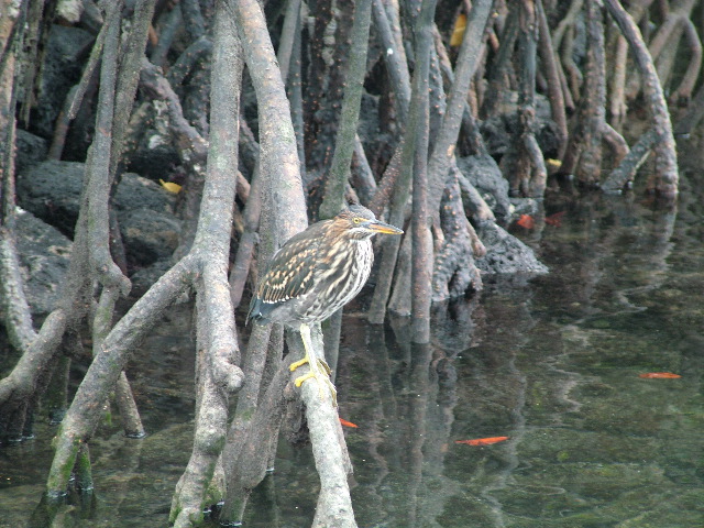 DSCF1588.JPG