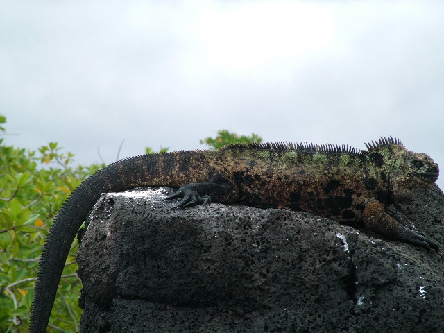 DSCF1589.JPG