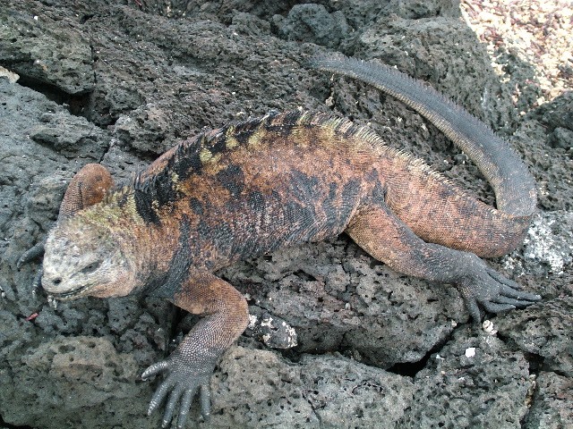 DSCF1600.JPG
