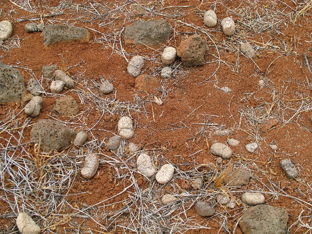 DSCF1605.JPG