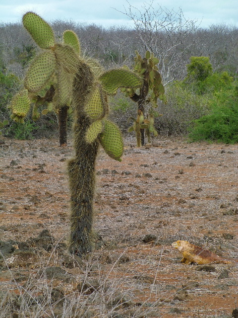 DSCF1608.JPG