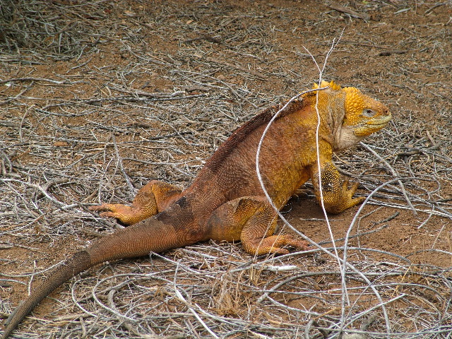 DSCF1617.JPG