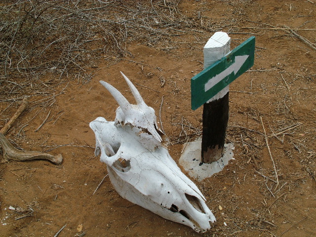 DSCF1620.JPG