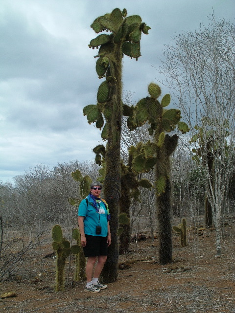 DSCF1623.JPG
