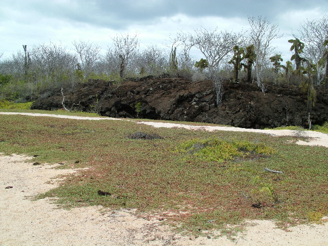 DSCF1624.JPG