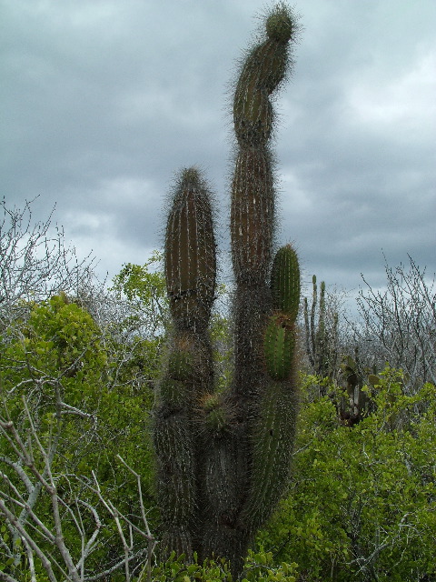 DSCF1625.JPG