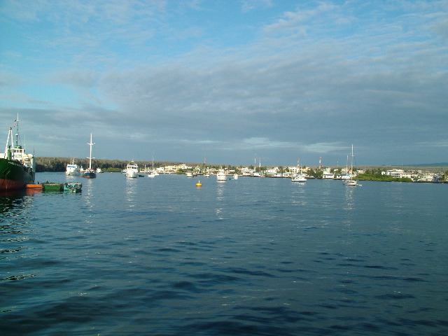 DSCF1629.JPG