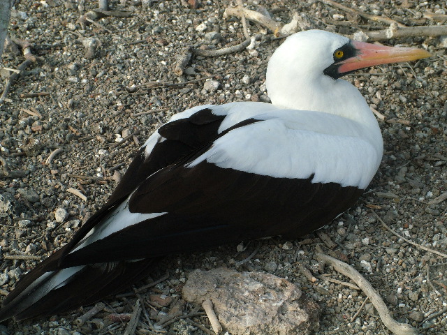 DSCF1200.JPG