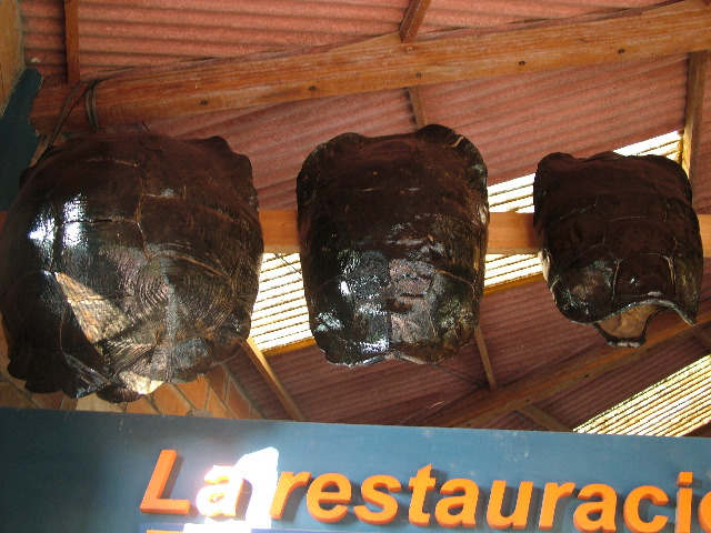 DSCF1634.JPG