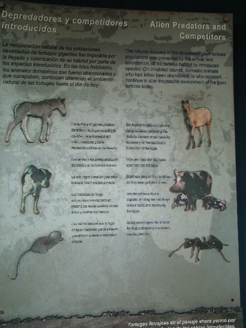 DSCF1635.JPG