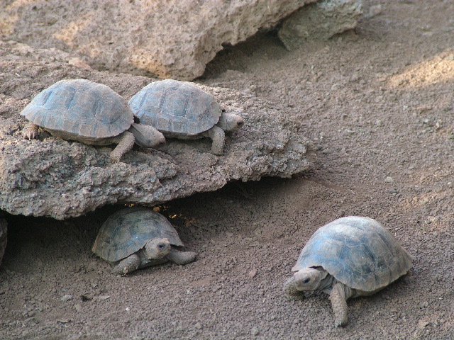 DSCF1637.JPG