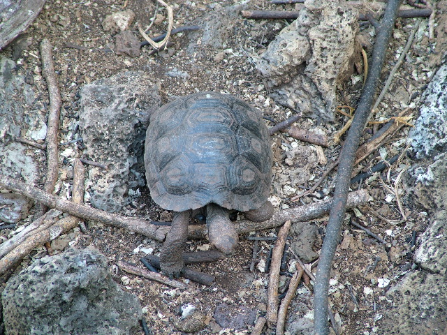 DSCF1642.JPG