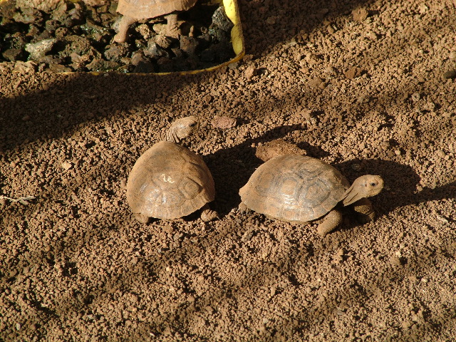 DSCF1645.JPG