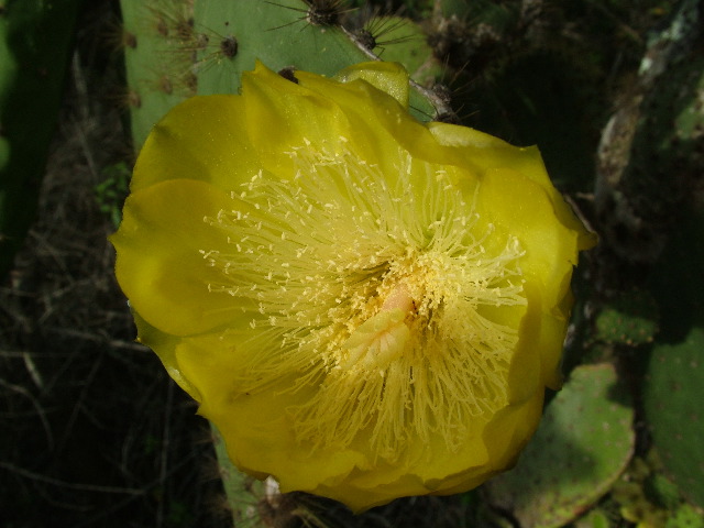 DSCF1657.JPG