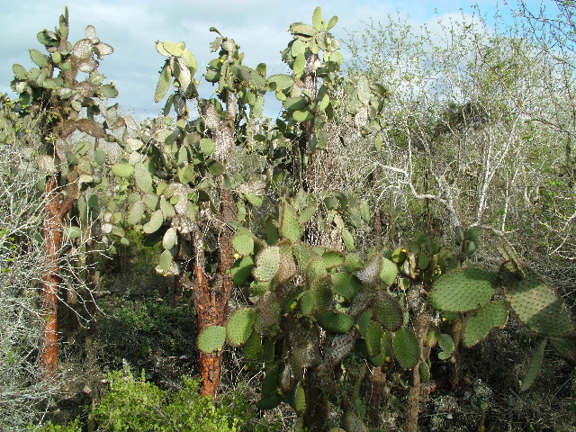 DSCF1658.JPG