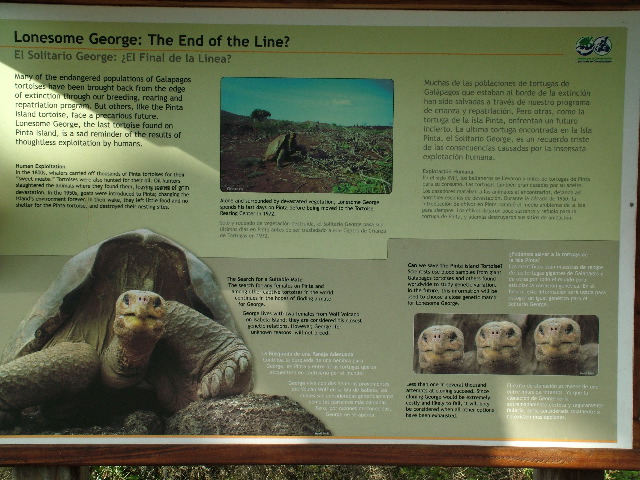 DSCF1662.JPG