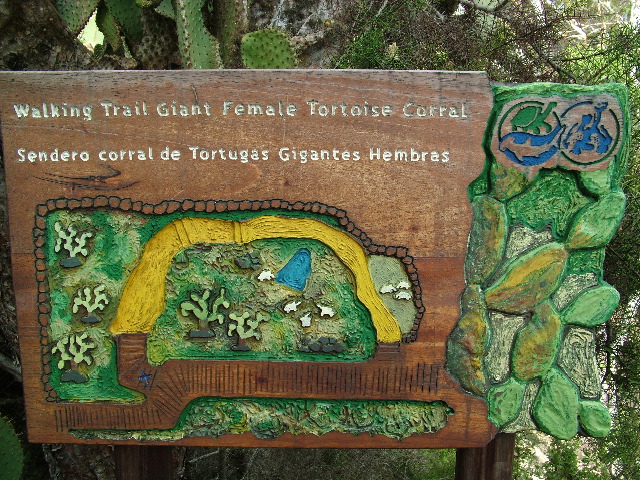 DSCF1664.JPG