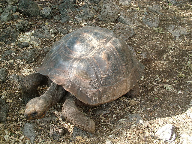 DSCF1671.JPG
