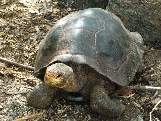 DSCF1681.JPG