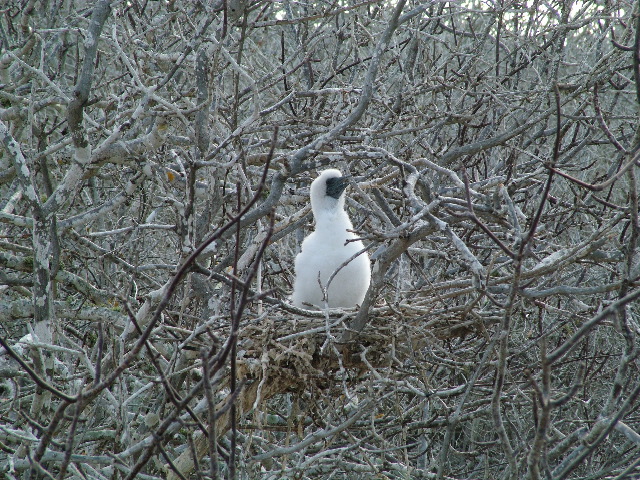 DSCF1205.JPG