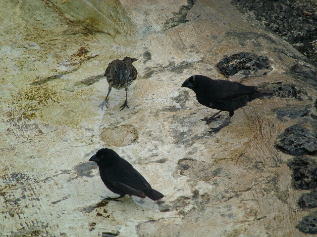 DSCF1690.JPG
