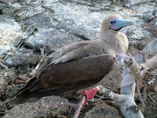 DSCF1210.JPG