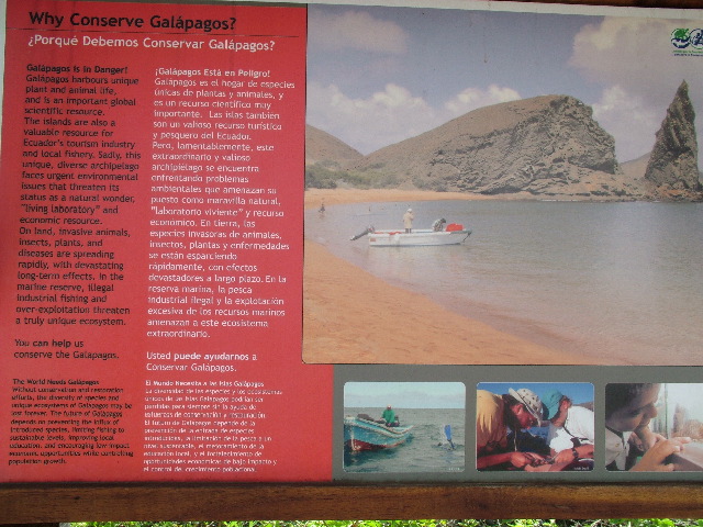 DSCF1715.JPG